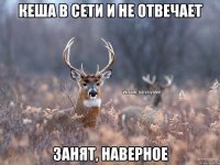 Кеша в сети и не отвечает Занят, наверное