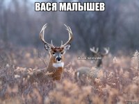 Вася Малышев 