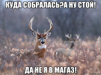 куда собралась?а ну стой! да не я в магаз!