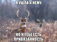 я ушла к нему но к тебе есть привязанность