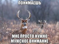 ПОНИМАЕШЬ МНЕ ПРОСТО НУЖНО МУЖСКОЕ ВНИМАНИЕ