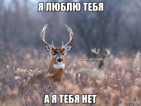 Я люблю тебя А я тебя нет