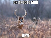 Он просто мой ДРУГ