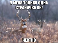 у меня только одна страничка вк! Честно