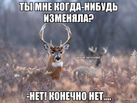 Ты мне когда-нибудь изменяла? -Нет! Конечно нет....