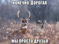 конечно, дорогая мы просто друзья