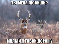 ты меня любишь? милый,я тобой дорожу