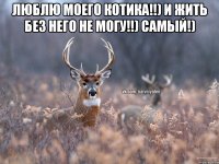 Люблю моего котика!!) и жить без него не могу!!) самый!) 