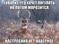 Говорит что хочет погулять, но потом морозится. Настроения нет наверное.