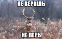 Не веришь Не верь