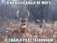 я на выходных не могу уезжаю к родственникам