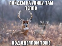 Пойдем на улицу, там тепло Под одеялом тоже