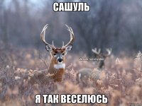 Сашуль Я так веселюсь