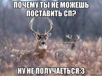 Почему ты не можешь поставить СП? Ну не получаеться:3