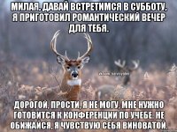 Милая, давай встретимся в субботу, я приготовил романтический вечер для тебя. Дорогой, прости, я не могу, мне нужно готовится к конференции по учебе. Не обижайся, я чувствую себя виноватой.