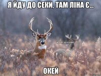 я йду до Секи, там Ліна є... окей