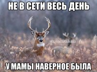 Не в сети весь день у мамы наверное была