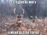 Сегодня не могу у меня дел по горло