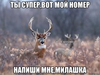 ты супер,вот мой номер напиши мне,милашка