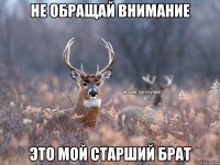 не обращай внимание это мой старший брат