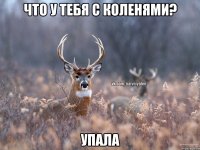 Что у тебя с коленями? Упала