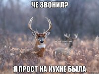 Че звонил? я прост на кухне была