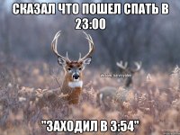 Сказал что пошел спать в 23:00 "Заходил в 3:54"