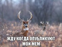  Жду когда опубликуют мой Мем