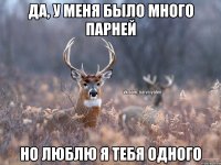 Да, у меня было много парней Но люблю я тебя одного