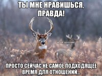 Ты мне нравишься, правда! Просто сейчас не самое подходящее время для отношений...