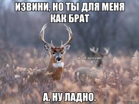 Извини, но ты для меня как брат А. Ну ладно.