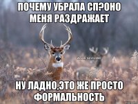 Почему убрала сп?Оно меня раздражает ну ладно,это же просто формальность