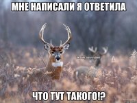 мне написали я ответила что тут такого!?