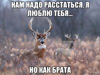 Нам надо расстаться, я люблю тебя... Но как брата