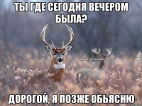 Ты где сегодня вечером была? Дорогой, я позже обьясню