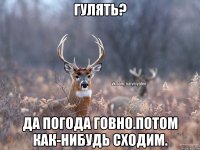 гулять? да погода говно.потом как-нибудь сходим.