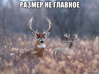 размер не главное 