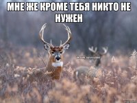 Мне же кроме тебя никто не нужен 