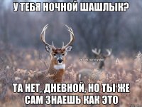 у тебя ночной шашлык? Та нет, дневной, но ты же сам знаешь как это