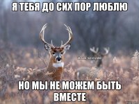 Я тебя до сих пор люблю Но мы не можем быть вместе