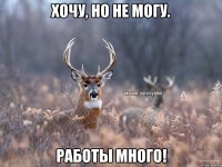 Хочу, но не могу. Работы много!