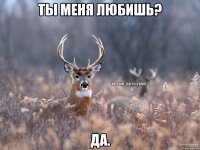 Ты меня любишь? Да.