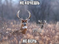 Не хочешь Не верь