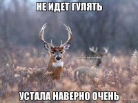 не идет гулять устала наверно очень