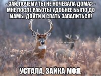 - Зай, почему ты не ночевала дома? - Мне после работы удобнее было до мамы дойти и спать завалиться! Устала, зайка моя.