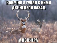 Конечно я гулял с ними две недели назад А не вчера