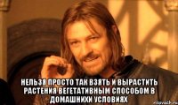  Нельзя просто так взять и вырастить растения вегетативным способом в домашнихи условиях