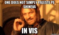 one does not simply paleste pe shineva in vis