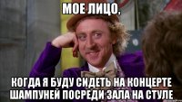 мое лицо, когда я буду сидеть на концерте шампуней посреди зала на стуле