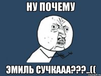 НУ ПОЧЕМУ ЭМИЛЬ СУЧКААА???..((